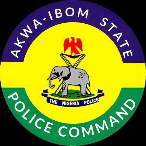 AKWA IBOM POLICE RECOVER LOCALLY MADE FIREARM, LARGE CACHE OF SUSPECTED INDIAN HEMP IN IBENO FB IMG 1780216826686