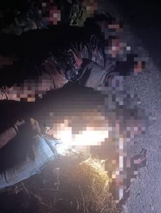 FB IMG 1782309124747