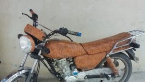 FB IMG 1785060709577
