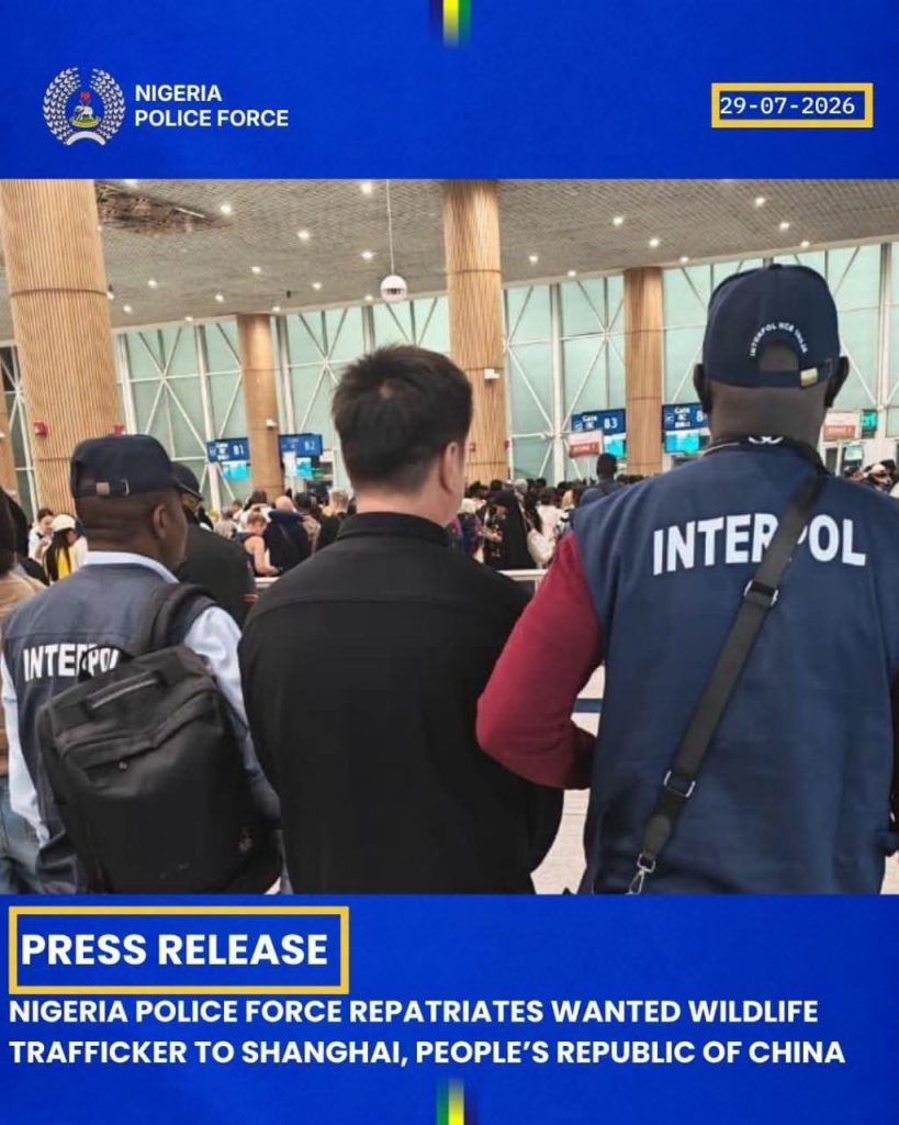 NIGERIA POLICE FORCE REPATRIATES WANTED WILDLIFE TRAFFICKER TO SHANGHAI, PEOPLE’S REPUBLIC OF CHINA FB IMG 1785397396428