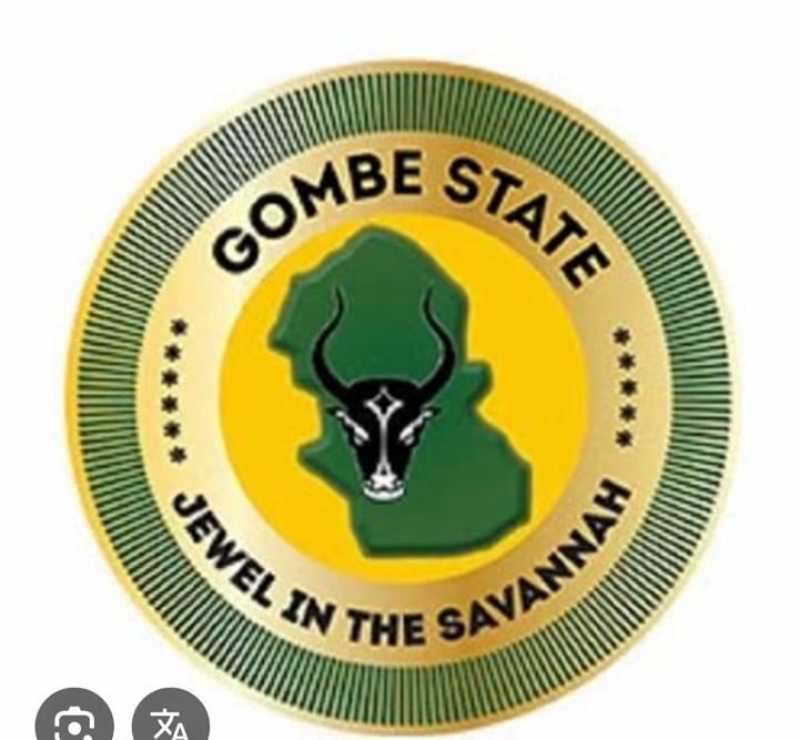 SETTING THE RECORD STRAIGHT: HOW GOVERNOR INUWA YAHAYA IS ADDRESSING AGE-LONG WATER CHALLENGE IN GOMBE FB IMG 1786780074217