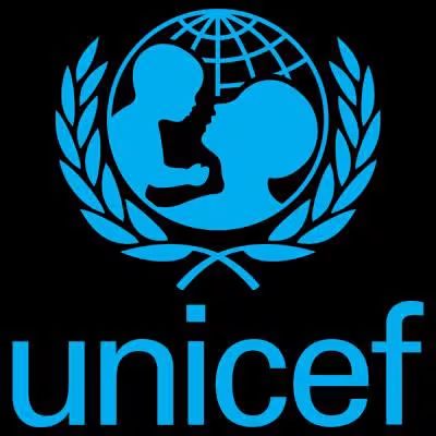 UNICEF Names Gombe Best in North-East Primary Healthcare FB IMG 1788119869505
