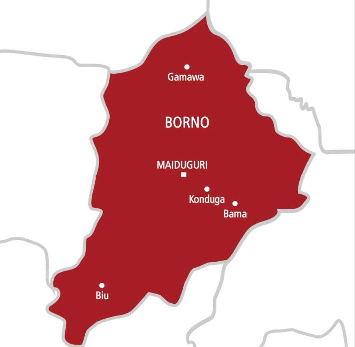 Zulum urges Federal Government to Safeguard Chad Basin Critical Assets IMG 20260607 WA0002