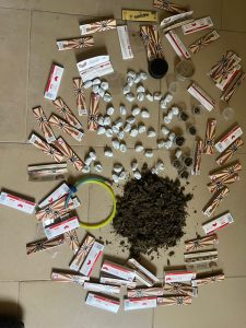 IMG 20260610 WA0017