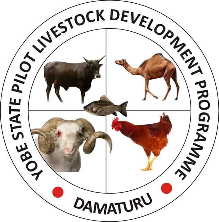 YPLDP, Hisbah partner to tackle animal cruelty, protect public health in Yobe IMG 20260811 WA0019