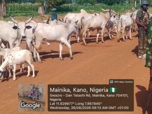 IMG 20260827 WA0043