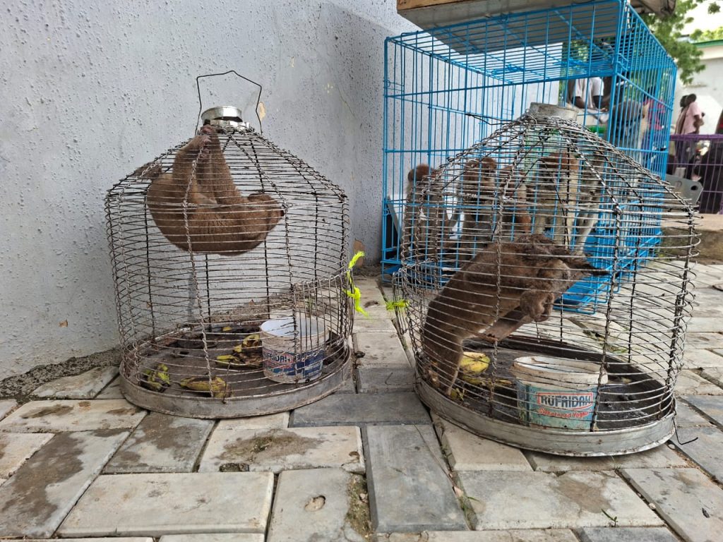IMG 20260828 WA0012