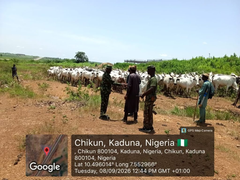 TROOPS OF OPERATION FANSAN YAMMA FOIL MASSIVE CATTLE RUSTLING IN KADUNA KADUNA STATE IMG 20260909 WA0025