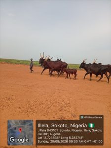 IMG 20260921 WA0028