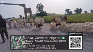 IMG 20261009 WA0087